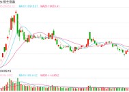 快讯：恒指低开0.87% 科指跌0.51%汽车股普遍低开