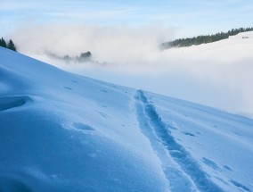 2024-2025冰雪季，我国冰雪休闲旅游市场预计突破5.2亿人次