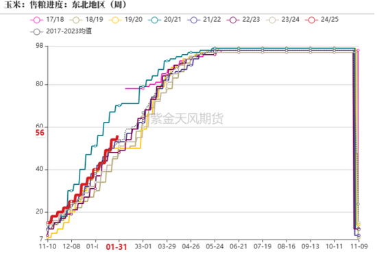 政策暖风吹，玉米开门红