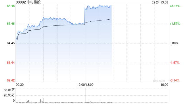 中电控股公布2024年业绩 股东应占溢利117.42亿港元同比增长76.44%